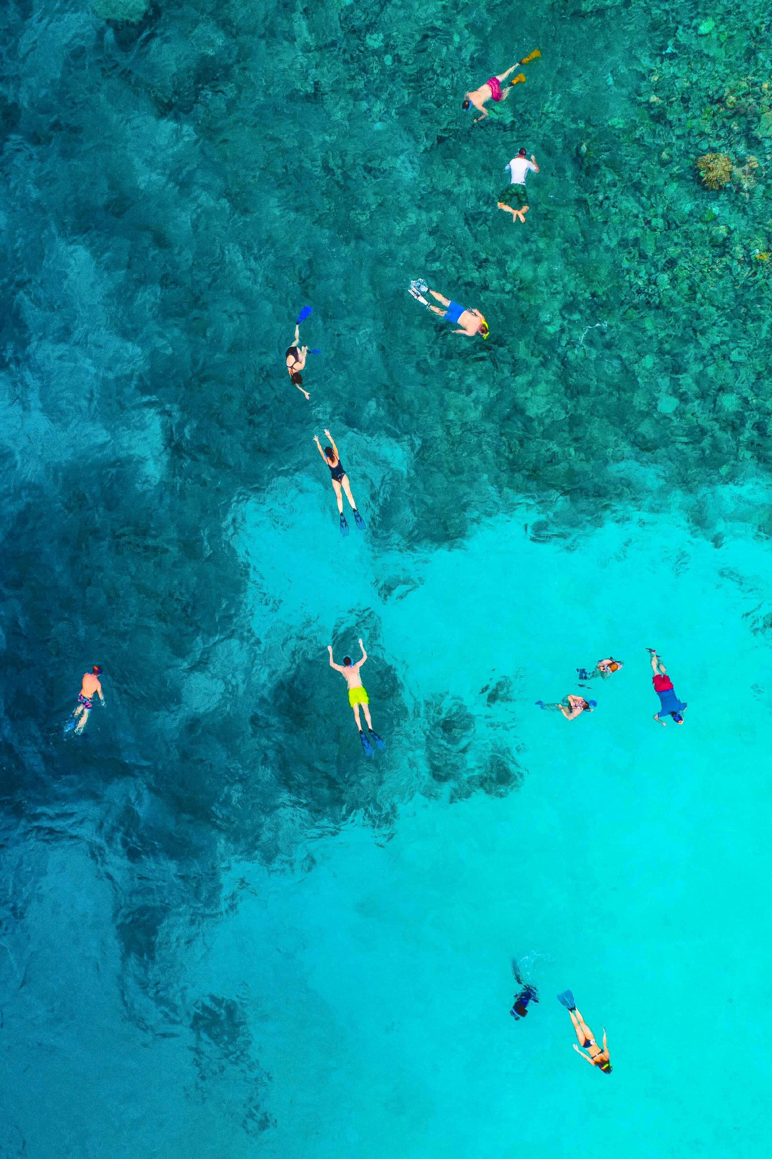 Plongée et snorkeling en Corse-du-Sud à Ajaccio